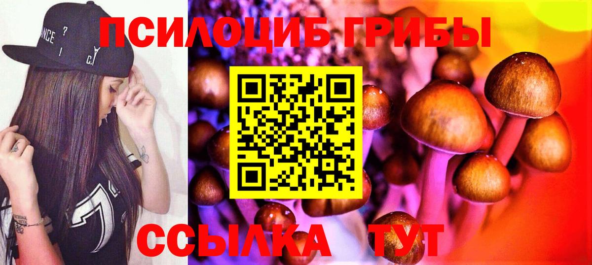 Галлюциногенные грибы Magic Shrooms Черкесск