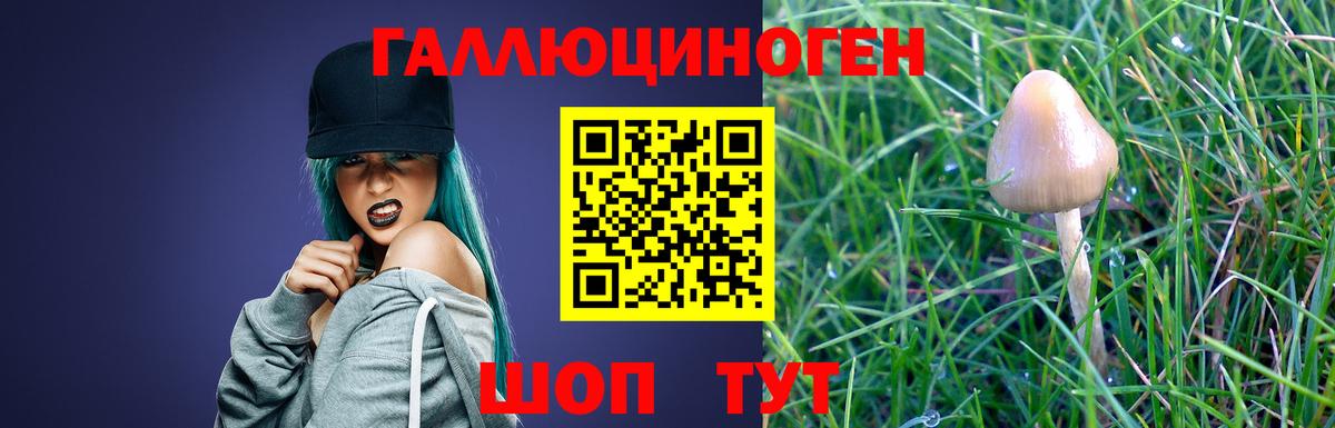 Галлюциногенные грибы Psilocybine cubensis  Вход с VPN  Галлюциногенные грибы MAGIC MUSHROOMS  Черкесск 